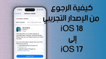 downgrade from ios 18 beta to ios 17