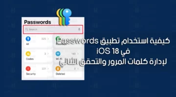 iOS 18 passwords app